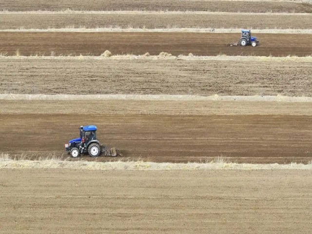 祁连山下是我家丨民乐：“五良”融合推动小麦实现高质量发展