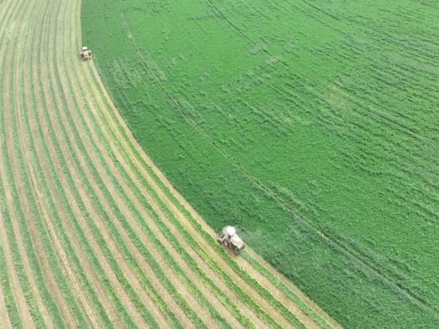 祁连山下是我家丨民乐县头茬紫花苜蓿进入收获季